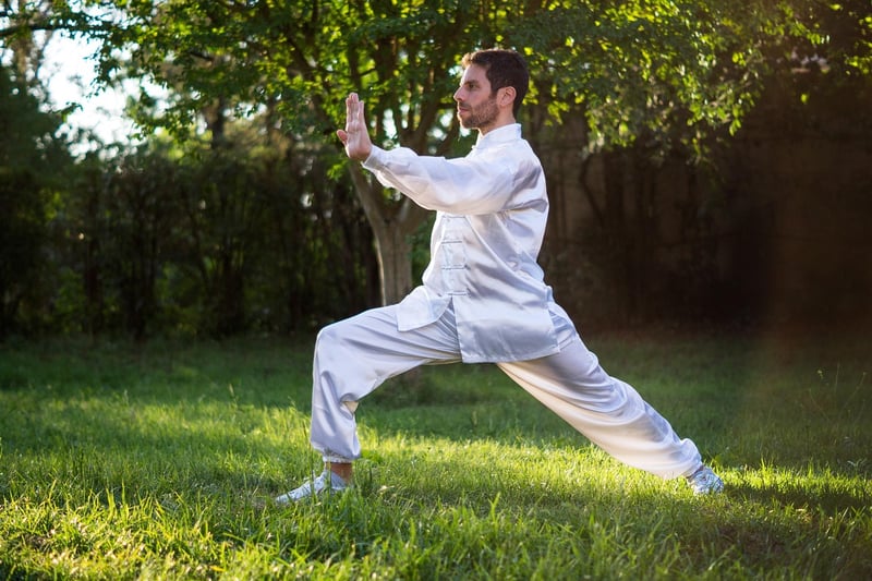 Tai Chi - Wu Style